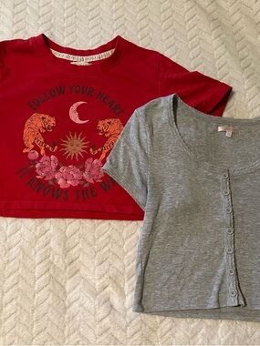 Women’s Red Graphic Crop Tee & Gray Button-Front Crop Top Size medium Bundle